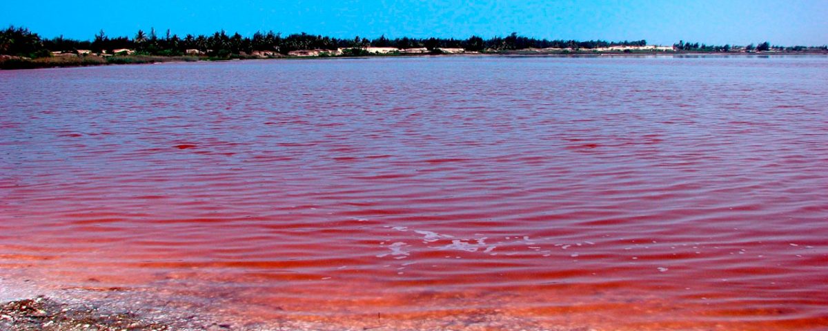 lago-rosa-no-puedes-perderte